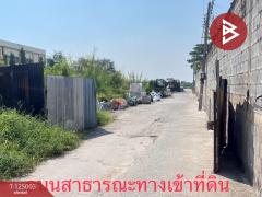 ขายที่ดิน เนื้อที่ 4 ไร่ 1 งาน 81 ตร.วา บางขุนเทียน กรุงเทพมหานคร-202510311340531761892853400.jpg