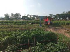 ที่ดินบ้านพร้อมโอนเจ้าของขายเอง ที่สวยติดแม่น้ำน่าน น้ำใสไหลรินตลอดปี  ต.ศรีภูมิ อ.ท่าวังผา จ.น่าน ขาย 800000  วิวดีสวยมาก 0968821857