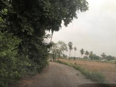 ที่ดินบ้านพร้อมโอนเจ้าของขายเอง ขายที่สวยติดแม่น้ำน่าน ชุมแสง  จ.นครสวรรค์ 300000 บาท.วิวแม่น้ำเกษตรดีงามสวยสมบูรณ์