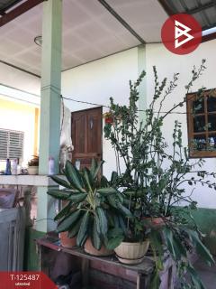 ขายบ้านเดี่ยวชั้นเดียว เนื้อที่ 50 ตร.วา บ้านคลอง พิษณุโลก-202510311412411761894761086.jpg