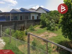 ขายบ้านเดี่ยวชั้นเดียว เนื้อที่ 50 ตร.วา บ้านคลอง พิษณุโลก-202510311412421761894762673.jpg