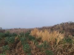 ที่ดินบ้านพร้อมโอนเจ้าของขายเอง ธรรมชาติเนินเขา ที่ดินโฉนดแบ่งขาย หล่มเก่า เพชรบูรณ์ ใกล้ภูทับเบิก โทร 0968821857