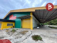 ขายที่ดินพร้อมโกดังขนาดใหญ่ เนื้อที่ 53 ไร่ 2 งาน 60.1 ตารางวา ธวัชบุรี ร้อยเอ็ด-202510311446331761896793241.jpg