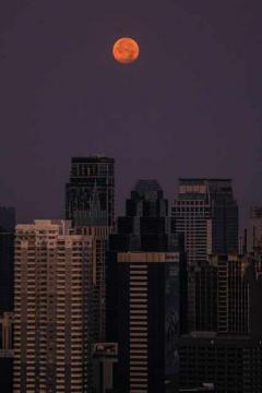 CB129 ให้เช่า Life Asoke Hype 1 ห้องนอน ใกล้ MRT พระราม 9 และ MRT เพชรบุรี -202510311459011761897541192.jpg