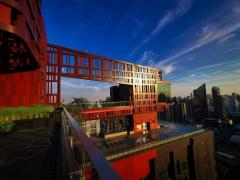 CB129 ให้เช่า Life Asoke Hype 1 ห้องนอน ใกล้ MRT พระราม 9 และ MRT เพชรบุรี -202510311459061761897546778.jpg