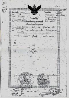 ขายที่ดินสวย พร้อมโอน เมืองสมุทรสาคร เนื้อที่ 173 ตรว. น้ำไฟผ่าน ถนนคอนกรีต โทร 0807856572-202510311500341761897634618.jpg