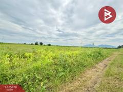 ขายที่ดินเปล่า เนื้อที่ 16 ไร่ 22 ตารางวา อ.ตากฟ้า นครสวรรค์