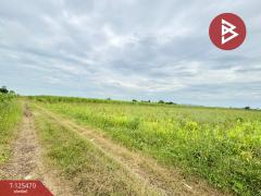 ขายที่ดินเปล่า เนื้อที่ 16 ไร่ 22 ตารางวา อ.ตากฟ้า นครสวรรค์-202510311541171761900077800.jpg