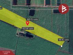 ขายที่ดินเปล่า เนื้อที่ 16 ไร่ 22 ตารางวา อ.ตากฟ้า นครสวรรค์-202510311541191761900079901.jpg