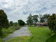 ขายถูกมาก!! ขายที่ดินถมแล้วพร้อมโครงสร้าง ติดถนน ติดคลอง 12 ไร่ 1 งาน 3 ตร.ว. ทำเลดี อ.วิหารแดง จ.สระบุรี