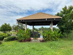 ขายถูกมาก!! ขายที่ดินถมแล้วพร้อมโครงสร้าง ติดถนน ติดคลอง 12 ไร่ 1 งาน 3 ตร.ว. ทำเลดี อ.วิหารแดง จ.สระบุรี-202510311723391761906219996.jpg