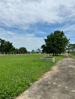 ขายถูกมาก!! ขายที่ดินถมแล้วพร้อมโครงสร้าง ติดถนน ติดคลอง 12 ไร่ 1 งาน 3 ตร.ว. ทำเลดี อ.วิหารแดง จ.สระบุรี-202510311723441761906224236.jpg