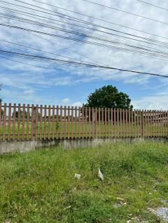 ขายถูกมาก!! ขายที่ดินถมแล้วพร้อมโครงสร้าง ติดถนน ติดคลอง 12 ไร่ 1 งาน 3 ตร.ว. ทำเลดี อ.วิหารแดง จ.สระบุรี-202510311723451761906225478.jpg