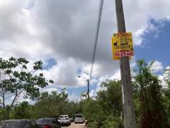 ขายที่ดินซอยคู่สร้างคู่สม 2 ไร่ 3 งาน 99 ตารางวา ติดถนนคอนกรีตสาธารณะ อ.พระสมุทรเจดีย์ จ.สมุทรปราการ 095-879-4465