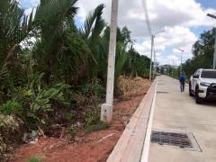 ขายที่ดินซอยคู่สร้างคู่สม 2 ไร่ 3 งาน 99 ตารางวา ติดถนนคอนกรีตสาธารณะ อ.พระสมุทรเจดีย์ จ.สมุทรปราการ 095-879-4465-202510311919001761913140816.jpeg