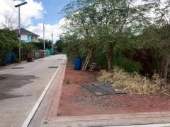 ขายที่ดินซอยคู่สร้างคู่สม 2 ไร่ 3 งาน 99 ตารางวา ติดถนนคอนกรีตสาธารณะ อ.พระสมุทรเจดีย์ จ.สมุทรปราการ 095-879-4465-202510311919021761913142036.jpeg