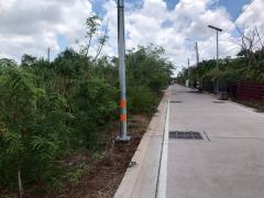 ขายที่ดินซอยคู่สร้างคู่สม 2 ไร่ 3 งาน 99 ตารางวา ติดถนนคอนกรีตสาธารณะ อ.พระสมุทรเจดีย์ จ.สมุทรปราการ 095-879-4465-202510311919021761913142902.jpeg