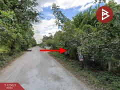 ขายที่ดิน เนื้อที่ 1 ไร่ 3 งาน 34 ตารางวา อำเภอพล ขอนแก่น-202511010903241761962604525.jpg