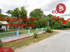 ขายที่ดิน เนื้อที่ 1 ไร่ 3 งาน 34 ตารางวา อำเภอพล ขอนแก่น-202511010903251761962605598.jpg