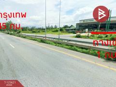 ขายที่ดิน เนื้อที่ 1 ไร่ 3 งาน 34 ตารางวา อำเภอพล ขอนแก่น-202511010903261761962606269.jpg