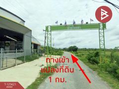 ขายที่ดิน เนื้อที่ 1 ไร่ 3 งาน 34 ตารางวา อำเภอพล ขอนแก่น-202511010903271761962607330.jpg