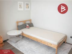 ขาย/เช่าด่วน บ้านเดี่ยวหลังริม หมู่บ้านวีเว่ บางนา กม. (VIVE Bangna KM. 7) สมุทรปราการ-202511010908191761962899449.jpg