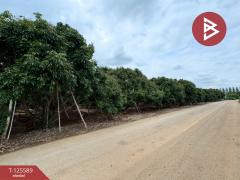 ขายที่ดิน เนื้อที่ 5 ไร่ โป่งน้ำร้อน จันทบุรี