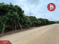 ขายที่ดิน เนื้อที่ 5 ไร่ โป่งน้ำร้อน จันทบุรี-202511010916351761963395960.jpg