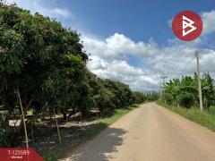 ขายที่ดิน เนื้อที่ 5 ไร่ โป่งน้ำร้อน จันทบุรี-202511010916361761963396509.jpg