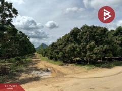 ขายที่ดิน เนื้อที่ 5 ไร่ โป่งน้ำร้อน จันทบุรี-202511010916371761963397413.jpg