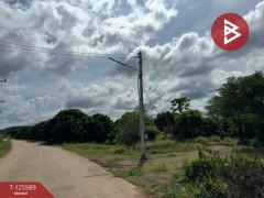 ขายที่ดิน เนื้อที่ 5 ไร่ โป่งน้ำร้อน จันทบุรี-202511010916371761963397982.jpg