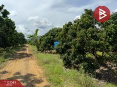 ขายที่ดิน เนื้อที่ 5 ไร่ โป่งน้ำร้อน จันทบุรี-202511010916381761963398551.jpg