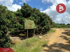 ขายที่ดิน เนื้อที่ 5 ไร่ โป่งน้ำร้อน จันทบุรี-202511010916391761963399124.jpg