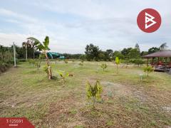 ขายที่ดิน เนื้อที่ 1 ไร่ 73 ตร.วา มะขาม จันทบุรี-202511010934251761964465232.jpg