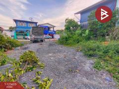 ขายที่ดินถมแล้ว เนื้อที่ 51 ตารางวา สุขสวัสดิ์ 102 ร่มเย็น พระสมุทรเจดีย์ สมุทรปราการ-202511010956441761965804727.jpg