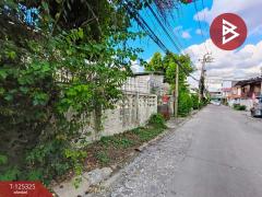 ขายบ้านเดี่ยว 2 ชั้น เนื้อที่ 77 ตารางวา ซอยเพชรเกษม 53 กรุงเทพมหานคร-202511011149031761972543958.jpg