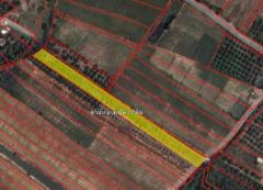 ขาย ที่ดินสวนลำไย 4ไร่ 99ตร.ว. อ.ดอยหลวง จ.เชียงใหม่-202511011211181761973878358.jpg