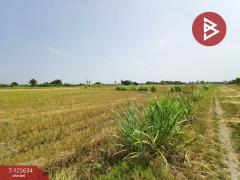 ขายที่ดิน-เนื้อที่-2-ไร่-2-งาน-99.3-ตารางว