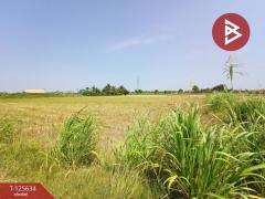 ขายที่ดิน เนื้อที่ 2 ไร่ 2 งาน 99.3 ตารางวา บ้านมะเกลือ เมืองนครสวรรค์-202511011427511761982071908.jpg