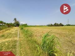 ขายที่ดิน เนื้อที่ 2 ไร่ 2 งาน 99.3 ตารางวา บ้านมะเกลือ เมืองนครสวรรค์-202511011427521761982072431.jpg