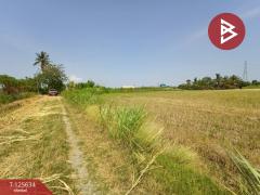 ขายที่ดิน เนื้อที่ 2 ไร่ 2 งาน 99.3 ตารางวา บ้านมะเกลือ เมืองนครสวรรค์-202511011427521761982072961.jpg