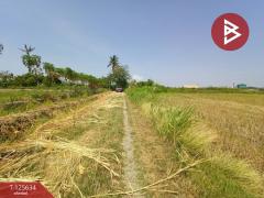 ขายที่ดิน เนื้อที่ 2 ไร่ 2 งาน 99.3 ตารางวา บ้านมะเกลือ เมืองนครสวรรค์-202511011427531761982073489.jpg