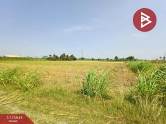 ขายที่ดิน เนื้อที่ 2 ไร่ 2 งาน 99.3 ตารางวา บ้านมะเกลือ เมืองนครสวรรค์-202511011427541761982074018.jpg