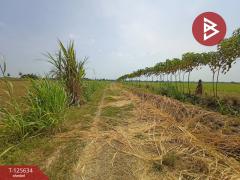 ขายที่ดิน เนื้อที่ 2 ไร่ 2 งาน 99.3 ตารางวา บ้านมะเกลือ เมืองนครสวรรค์-202511011427541761982074544.jpg