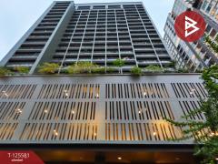 ขายด่วนคอนโด โนเบิล โซโล ทองหล่อ (Noble Solo) ใจกลางเมือง แหล่งชุมชน ห้องใหญ่ 3 ห้องติดกัน-202511011440331761982833682.jpg