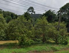 ขายที่ดิน แปลงสวย อ.เกาะช้าง จ.ตราด ขนาด 1-0-42 ไร่ ใกล้ท่าเทียบเรือเกาะช้าง