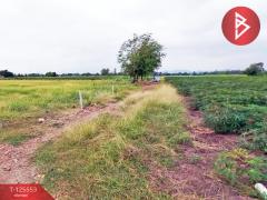 ขายที่ดินเปล่า เนื้อที่ 2 งาน 30 ตารางวา ท่าม่วง กาญจนบุรี-202511011458001761983880768.jpg