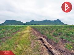 ขายที่ดินเปล่า เนื้อที่ 2 งาน 30 ตารางวา ท่าม่วง กาญจนบุรี-202511011458011761983881273.jpg