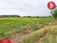 ขายที่ดินเปล่า เนื้อที่ 2 งาน 30 ตารางวา ท่าม่วง กาญจนบุรี-202511011458011761983881770.jpg