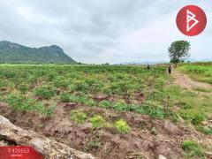 ขายที่ดินเปล่า เนื้อที่ 2 งาน 30 ตารางวา ท่าม่วง กาญจนบุรี-202511011458021761983882433.jpg